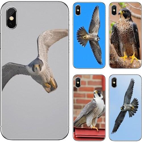 Peregrine-Falcon-fastest-animal-Birds For iPod Touch iPhone 10 11 12 Pro 4S 5S SE 5C 6 6S 7 8 X XR XS Plus Max 2020 Soft Cover