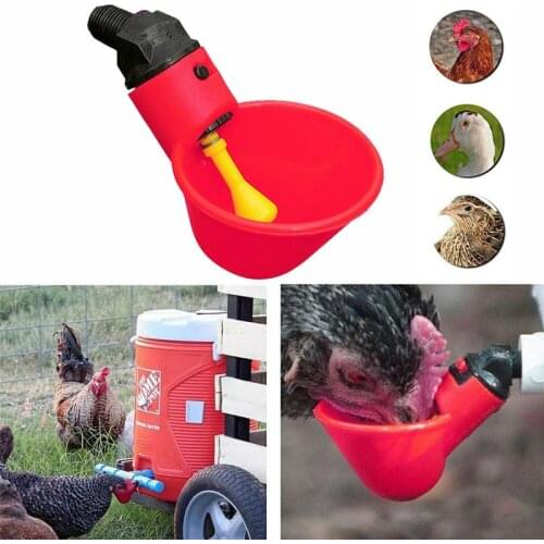 5/10 Pcs/lot Automatic Chicken Quail Drinker Chicken Waterer Bowl with Yellow Nipple Farm Poultry Drinking Water System Bottle