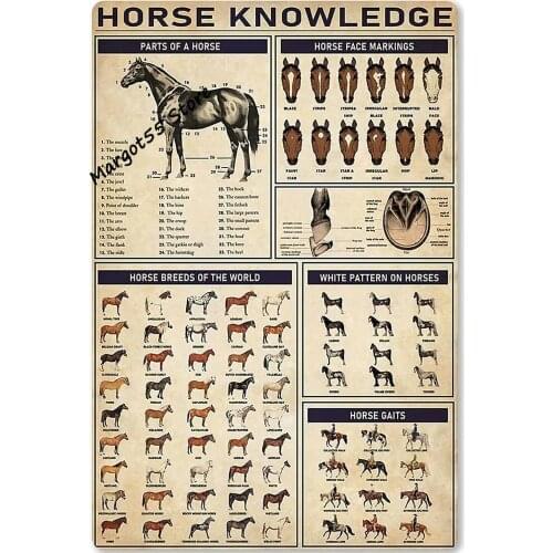 Horse Knowledge Metal Tin Sign Horse Breeds of The World Poster School Farm Household Kitchen Plaque Education Infographic