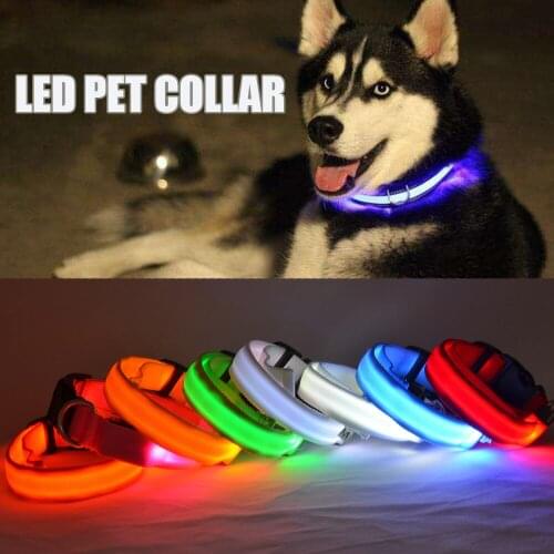 Nylon LED Pet Dog Collar Night Safety Pet Supplies Flashing In Dark Dogs Luminous Fluorescent Collars For Small Dogs Cats Collar