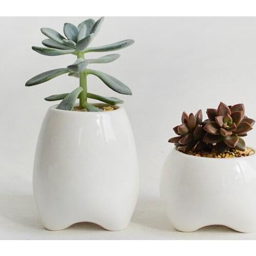 2 PCS Tooth Shape Flower Pots White Ceramic Planter Teeth Mini Desktop Succulent Planter pots Home Decoration(without plants)