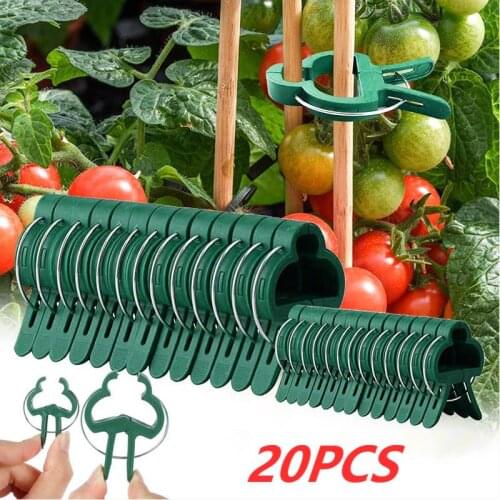 20pcs Plant Support Clips Garden Grafting Clamp Stand Plastic Plant Clip Fastener Bracket Fixed Seed Stem Support Plant Grafting