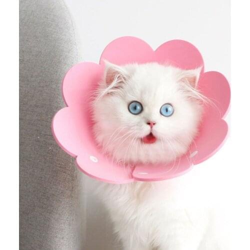Pet Recovery Collars Cute Sunflower Puppy Collar Soft Sponge Lightweight Kitten Headgear Pet Surgery Recover Use