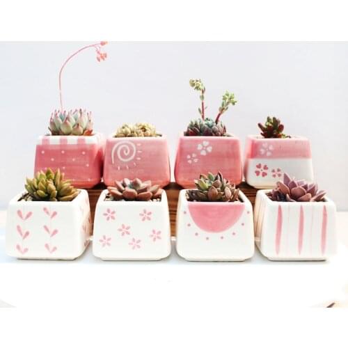 Girl Feelings Series Pink Thumb Basin Hand-painted Succulent Pot Succulent Plant Container Flower Ware Valentines Day Gift