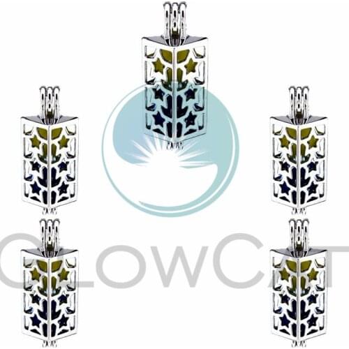 5X Rectangular Stars Pearl Cage Jewelry Findings Cage Locket Pendant Essential Oil Diffuser Locket For Oyster Pearl Necklace