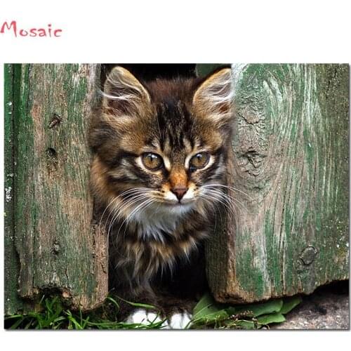 Diy Diamond Painting Cross Stitch cat Diamond Embroidery Full Display Animal Mosaic Full Square/round Rhinestone Of Picture