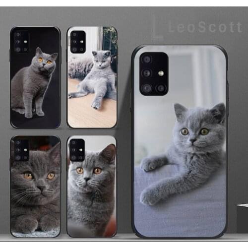 British shorthair cat Phone Case For Samsung A40 A31 A50 A51 A71 A20E A20S S8 S9 S10 S20 Plus note 20 ultra