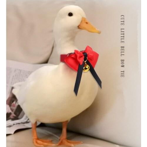 Adjustable Duck Bow Tie Collar with Bell Pet Neck Strap Chicken Duck Goose Necklace Accessories Farm Animal Supplies