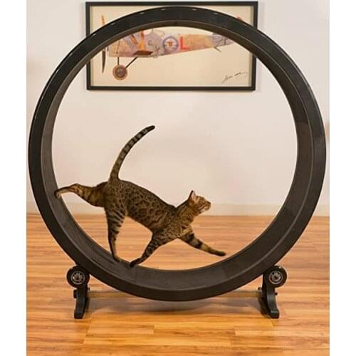 Cat sports wheel cat toy cat sports toy cat running wheel climbing frame cat climbing wheel cat treadmill
