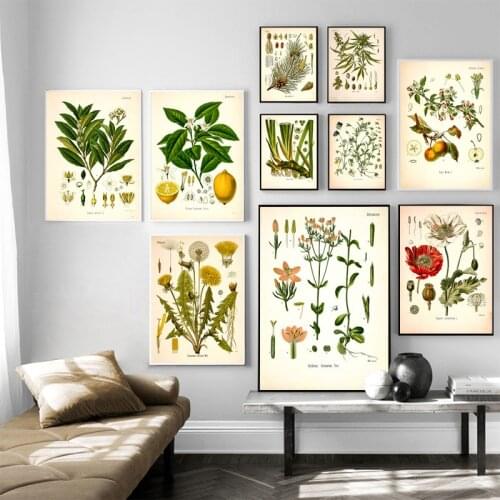 Vintage Retro Herb Plant Decorative Canvas Painting Poster Wall Picture For Living Room Decoration Home Decor