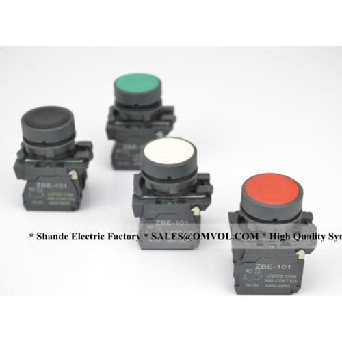 Flush momentary push button switch
