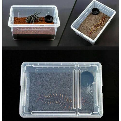 Clear Reptiles Box with Feeding Bowl Large Size Transparent Plastic Pet Insect Terrarium Transport Breeding Food Feed Box