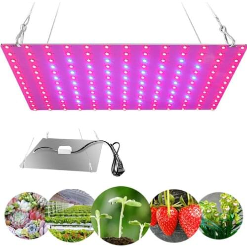QIUBOSS Plant Lamps