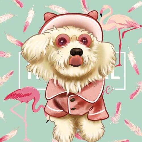 Pomeranian Demin Coat for Chihuahua Pug Costume Poodle Hat Whit Apparel PC1170