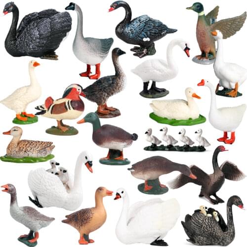Cute Simulation Poultry Farm Animals Model Ducks Goose Flock Action Figures Animals Figurine PVC Miniature Kids Educational Toys