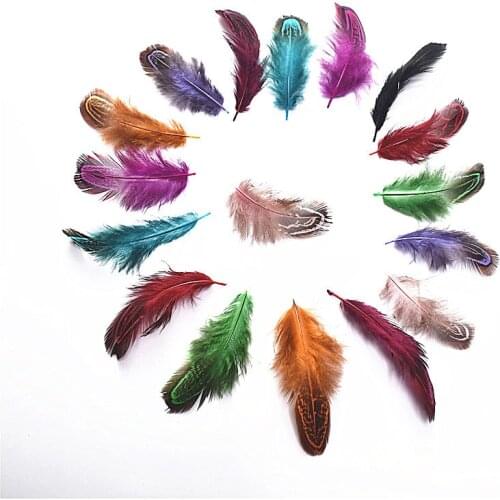 Beautiful Top Rare Multi-colour Natural Pheasant Feather 20pcs-100pcs/lot 4-8cm DIY Wedding Party Decorative Feathers for crafts