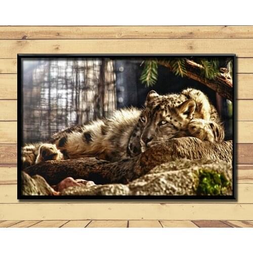 Jaguar Strong And Fast Land Animal (21) Wall Posters Prints Silk Art Painting For Home Wall Bedroom Decor