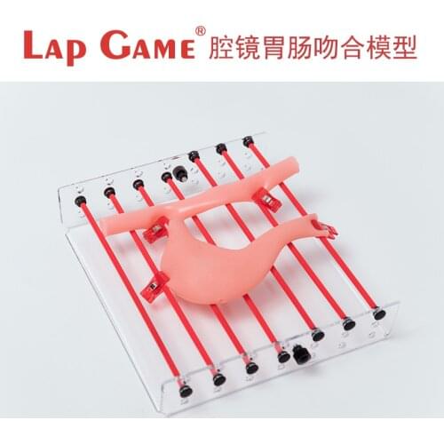 Laparoscopic surgery training box/gastrointestinal anastomosis model bowel suture