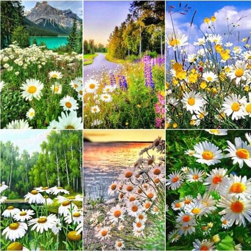 XUEQIXIAOZU Painting Flowers By Numbers