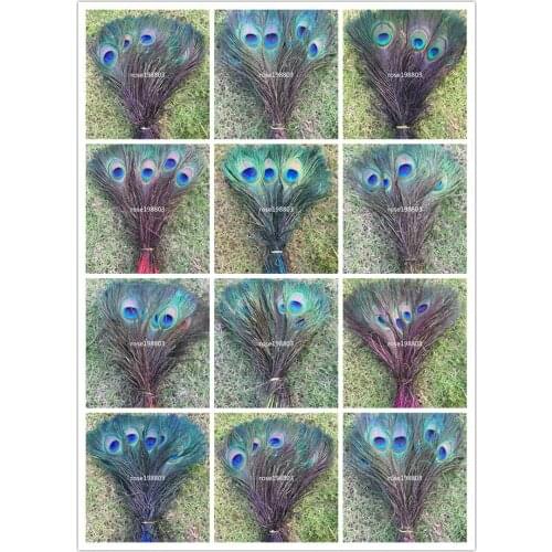 10Pcs/lot Dyeing Peacock Feathers for Crafts Length 25-30CM 10-12inch Peacock Feather Diy Jewelry Decorative Pheasant Feathers