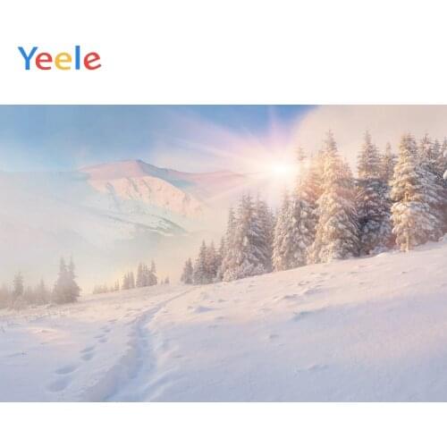 Winter Snow Forest Sunlight Mountain Cloud Home Decoration Backdrop Photography Custom Photographic Background For Photo Studio