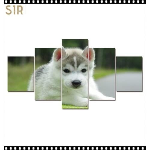 HD 5 Pieces Cute Pet Dog Pictures Posters Wall HD Art Home Decor for Living Room Painting on The Wall Pet Dog Pictures Wall Art