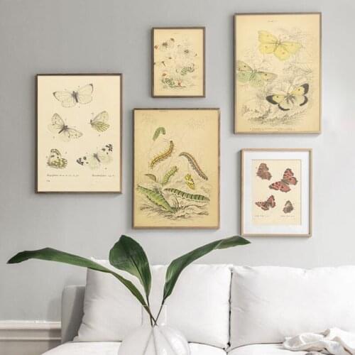 Vintage Butterfly Prints Insect Nature Kids Education Poster Nursery Wall Art Pictures Canvas Painting Children Room Decoration