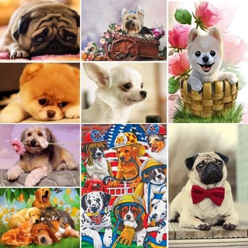 30x40x50x60x70 diamond painting 5D Full Square embroidery mosaic Cross Stitch Cute animal dog plant DIY home Decoration gift