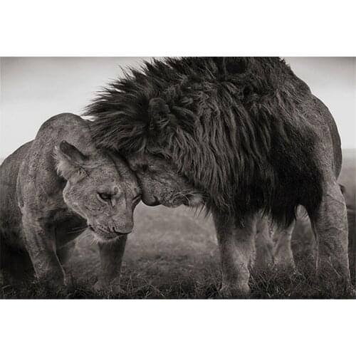 Black and White Animals 5D Diy Diamond Embroidery Couple Lion Full Drill Diamond Painting Mosaic Home Decor Pattern Embroidery