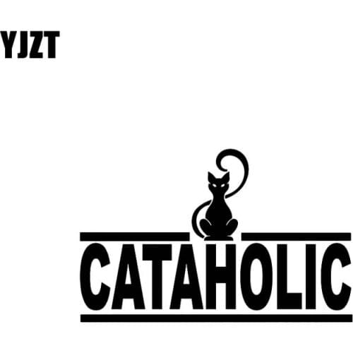 YJZT 14.3CM*9.2CM CATAHOLIC Cat Lover Lady Car Sticker Vinyl Decal Black Silver C10-02446