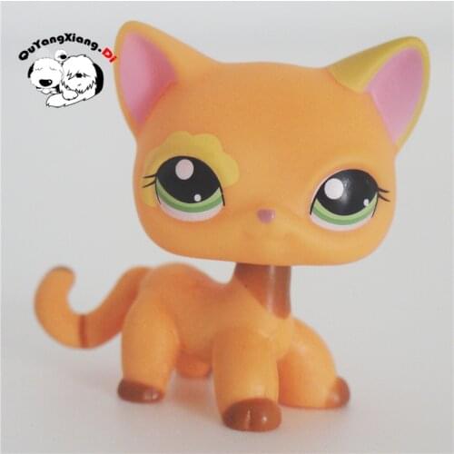 CWM056 Pet Shop Animal Petal eye Kitty Khaki Cat doll action Figure kitten