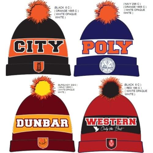 Custom Beanies Caps Custom Winter Hat Custom Knitting Hats With Your Own Design Logo Free Shipping