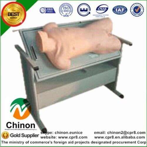 BIX-CK813 Abdomen Mobility Turbidity Percussion And Abdominal Cavity Puncture Training Manikin MQ138