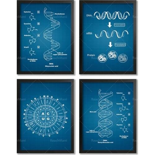 Blueprint DNA genetic code watercolor poster set DNA tree office decoration science wall art biology art genetic code circular a