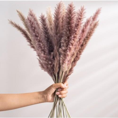 30Pcs Real Dried Reed Flowers Bouquet Home Wedding Decoration Table Flores Natural Pampas Grass Decor for Room Home Decoration