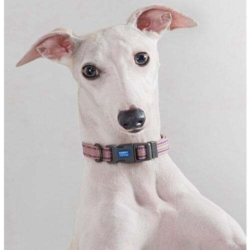 Small -large Dog Collars Thick Weave Strong and Durable Dog Collars Corgi Labrador Poodle Dog Collar Dog Accessories