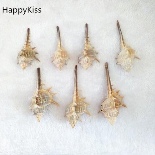 HappyKiss 2pcs Natural conch shells witch bone screw thorns screw Aquatic fish tank Household platform window decoration