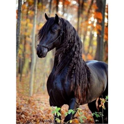 5d Diy Diamond Painting Full round square Diamond Embroidery Black Horse Mosaic Painting Cross Stitch Kits Home Decorative