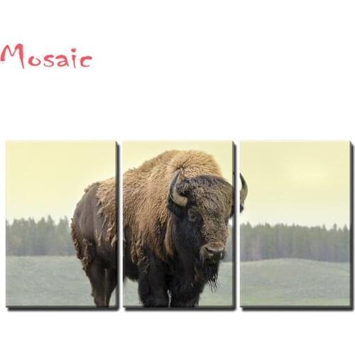 DIY diamond embroidery full square/round Bison in Grasslands 3pcs/set animal cow diamond painting cross stitch craft rhinestone