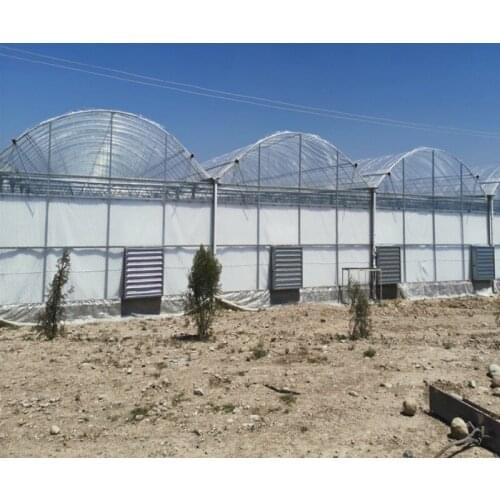 Agricultural Green Houses Tunnel Greenhouse