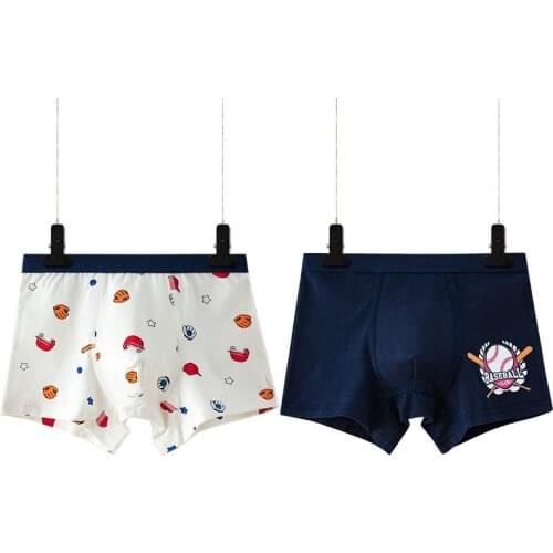 2pcs/lot Cartoon Boy Underwear Boxer Graphic Blue Boy Cotton Panties Child Clothes 3 4 6 8 10 12 14 Years Old OKU203010