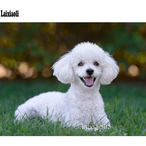 Diamond painting Poodle Pet dog diamond Embroidery cross-stitch Full Dill Square round Diamond Mosaic Party decoration Christmas