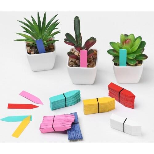 100PCS Greenhouse Waterproof Plants Seedling Label Garden Tools Classification Plastic Tags Marker Nursery Pot for Home Garden