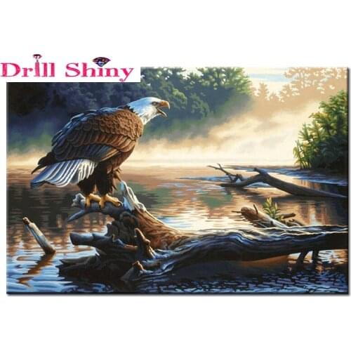 DIY Diamond Painting scenery stickers 5D Diamond Embroidery Art paintings Picture Of Rhinestones Cross-Stitch eagle Home Decor