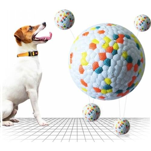 ETPU Pet Dog Ball High Elasticity Interactive Pet Toys For Small Medium Large Dogs Training Chew Molar Toy Pet Supplies