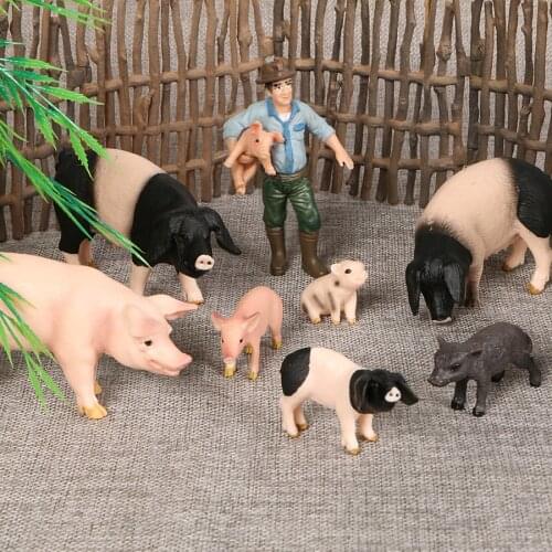 Farm Wild Model Simulation Poultry Pig Wild boar Action Figures Animal Models PVC Figurine Collection Kids Toys