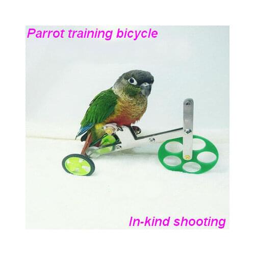 Parrot educational toy bicycle parrot supplies equipment parrot bicycle parrot toy Bird toy