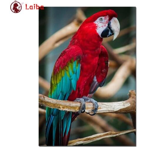 Full diamond painting Modern animal art, colorful parrot diamond embroidery 5D rhinestone mosaic diamond inlaid pattern