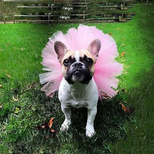 Pet Supplies Pet Dog Clothing Cat Puppy Princess Tutu Dress Party Skirts Clothes Costume Apparel YX
