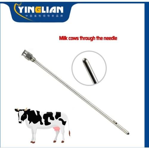 Milk cows pass through the needle devices milk through breast milk needle syringe tool stainless steel Cow milk needle